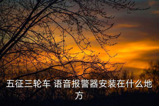 五征三輪車 語音報警器安裝在什么地方