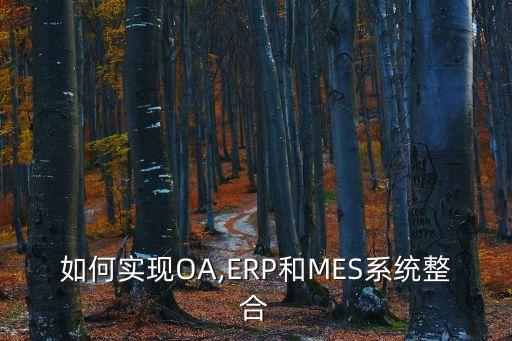 如何實(shí)現(xiàn)OA,ERP和MES系統(tǒng)整合