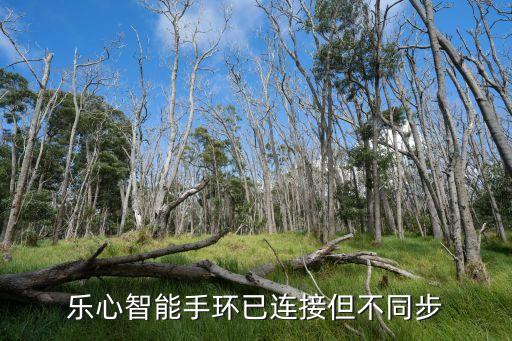 樂心智能手環(huán)已連接但不同步