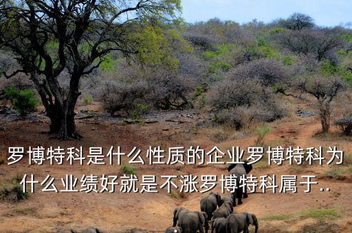 羅博特科是什么性質(zhì)的企業(yè)羅博特科為什么業(yè)績好就是不漲羅博特科屬于...