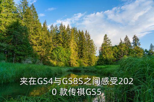 夾在GS4與GS8S之間感受2020 款傳祺GS5