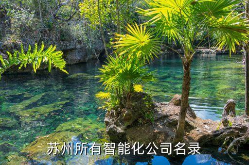 蘇州所有智能化公司名錄