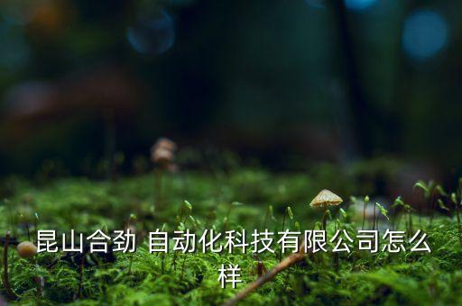  昆山合勁 自動(dòng)化科技有限公司怎么樣