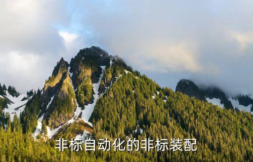 非標(biāo)自動(dòng)化的非標(biāo)裝配