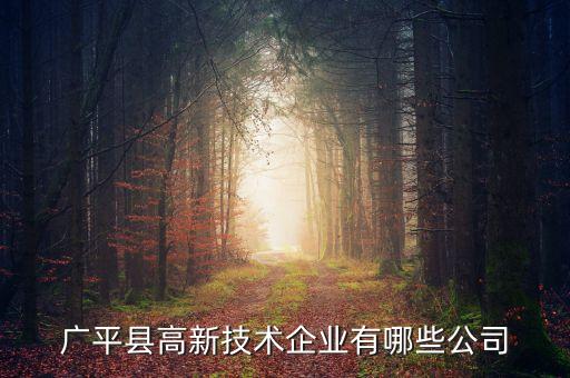 寧武自動化設備有限公司,邯鄲自動化公司是什么?