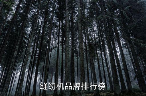 縫紉機(jī)品牌排行榜