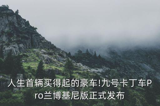人生首輛買得起的豪車!九號卡丁車Pro蘭博基尼版正式發(fā)布