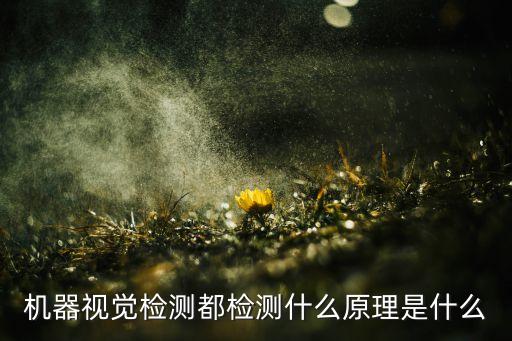機器視覺檢測都檢測什么原理是什么