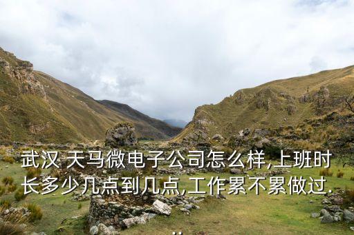 天馬自動(dòng)化廠有限公司招聘,廈門天馬微電子有限公司招聘信息