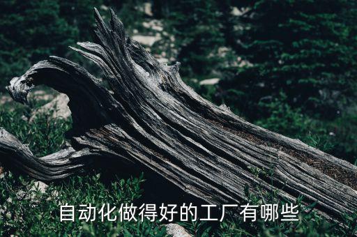 大一點的自動化設備廠,工業(yè)自動化設備廠家推薦給業(yè)主