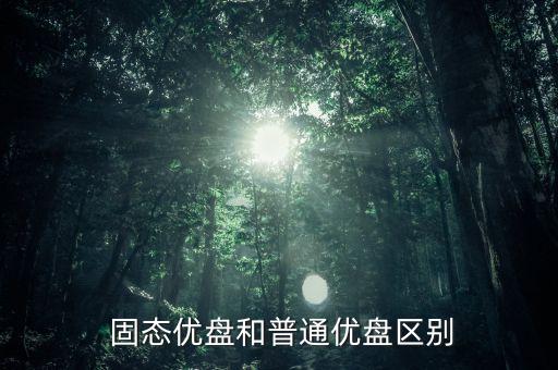  固態(tài)優(yōu)盤和普通優(yōu)盤區(qū)別