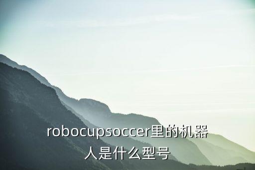 robocupsoccer里的機(jī)器人是什么型號(hào)