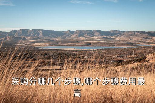  采購(gòu)分哪幾個(gè)步驟,哪個(gè)步驟費(fèi)用最高