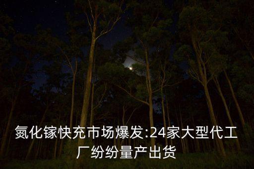 氮化鎵快充市場爆發(fā):24家大型代工廠紛紛量產(chǎn)出貨