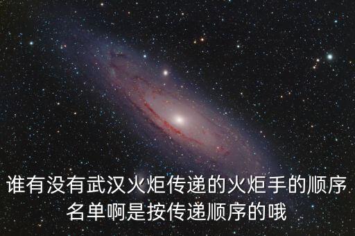誰有沒有武漢火炬?zhèn)鬟f的火炬手的順序名單啊是按傳遞順序的哦
