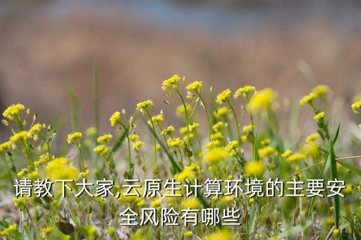 數(shù)據(jù)計(jì)算的安全,云計(jì)算模式下數(shù)據(jù)安全風(fēng)險(xiǎn)剖析