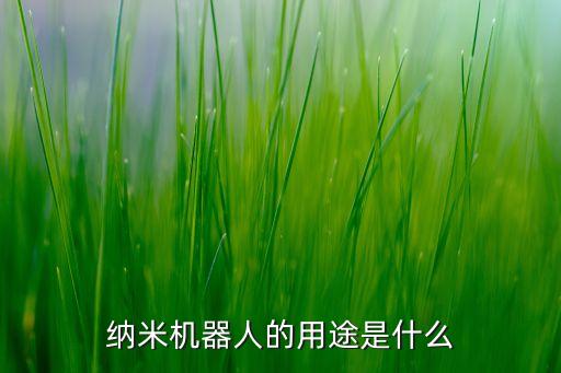 納米機(jī)器人的用途是什么