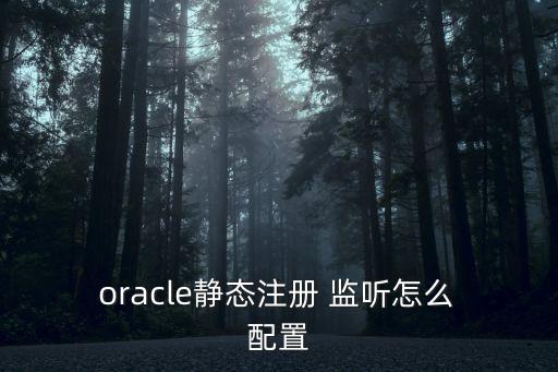  oracle靜態(tài)注冊(cè) 監(jiān)聽(tīng)怎么 配置