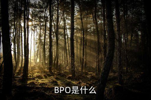 BPO是什么
