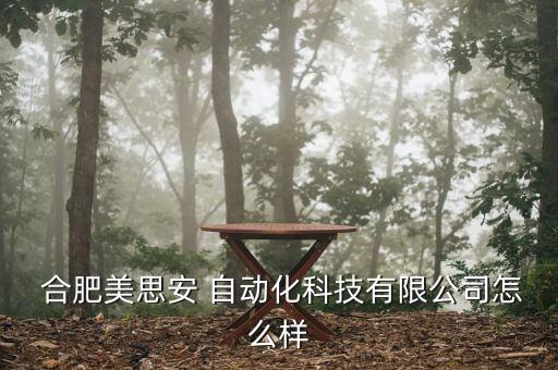  合肥美思安 自動化科技有限公司怎么樣