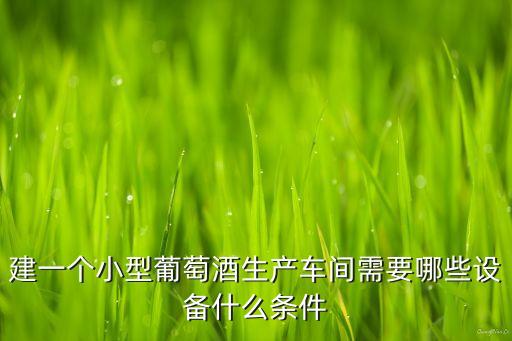 建一個小型葡萄酒生產(chǎn)車間需要哪些設(shè)備什么條件