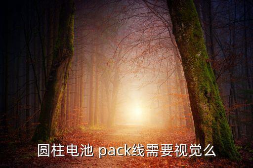 模組pack自動(dòng)化設(shè)備及自動(dòng)線
