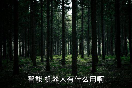 智能 機(jī)器人有什么用啊