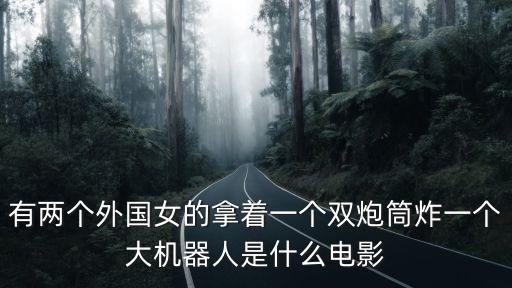廣東炸機(jī)器人,機(jī)器人是什么東西?有何差別?