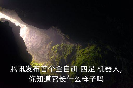 騰訊發(fā)布首個全自研 四足 機器人,你知道它長什么樣子嗎