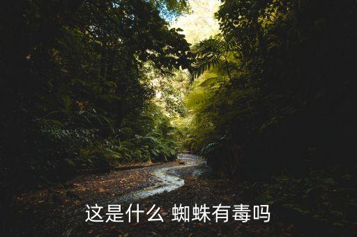 機(jī)器人蜘蛛圖片大全圖片大全圖片,關(guān)于機(jī)器人英語手抄報(bào)圖片大全圖片