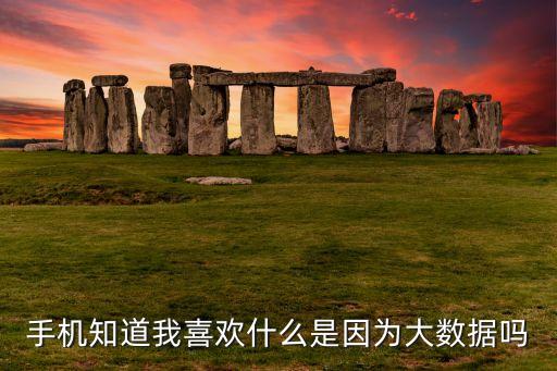 手機(jī)知道我喜歡什么是因?yàn)榇髷?shù)據(jù)嗎