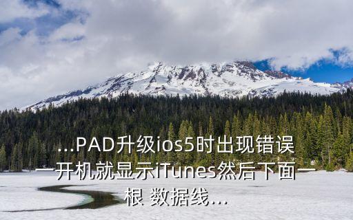 ...PAD升級ios5時(shí)出現(xiàn)錯(cuò)誤一開機(jī)就顯示iTunes然后下面一根 數(shù)據(jù)線...