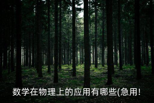 數(shù)學在物理上的應用有哪些(急用!