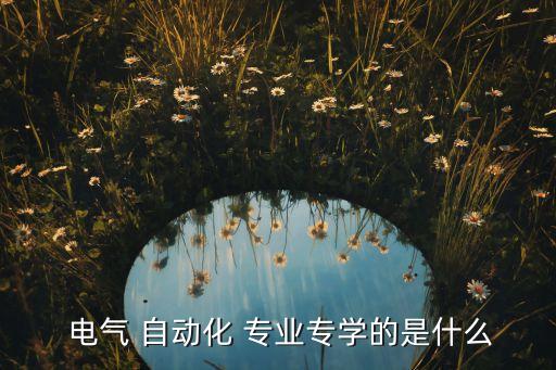  電氣 自動化 專業(yè)專學(xué)的是什么