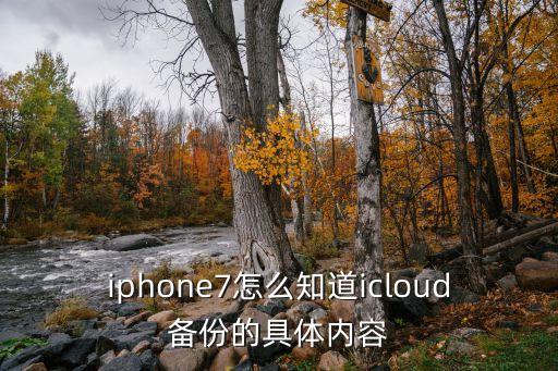 iphone7怎么知道icloud備份的具體內(nèi)容