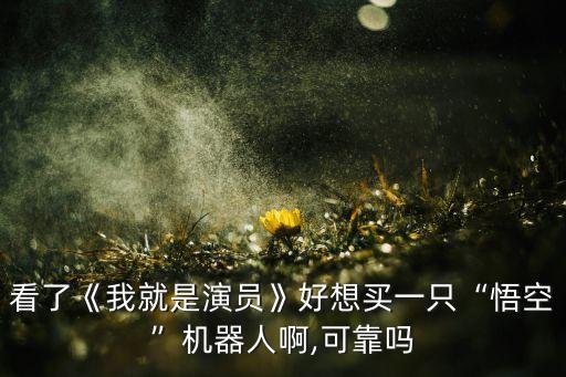 機(jī)器人人臉識別節(jié)目,機(jī)器人如何進(jìn)行人臉識別?