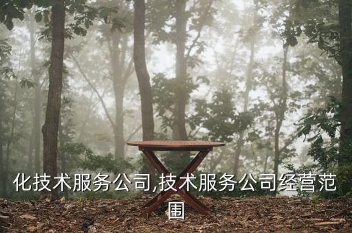 自動化技術(shù)服務(wù)公司,技術(shù)服務(wù)公司經(jīng)營范圍
