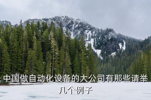 中國做自動化設(shè)備的大公司有那些請舉幾個例子