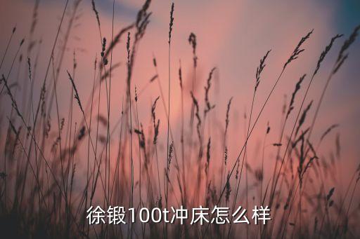 徐鍛100t沖床怎么樣