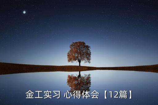 金工實(shí)習(xí) 心得體會【12篇】