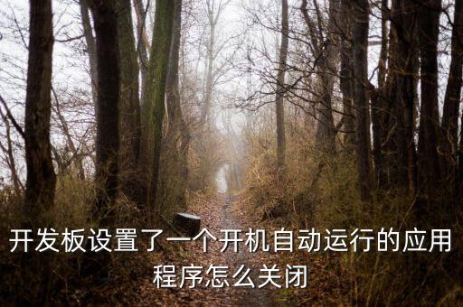 開發(fā)板設(shè)置了一個開機自動運行的應(yīng)用程序怎么關(guān)閉