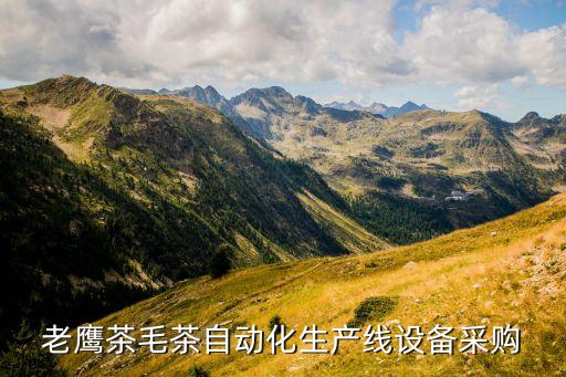 老鷹茶毛茶自動化生產(chǎn)線設(shè)備采購