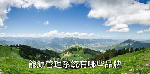 山東智源自動化技術公司,中機能源科技有限公司是國企嗎?