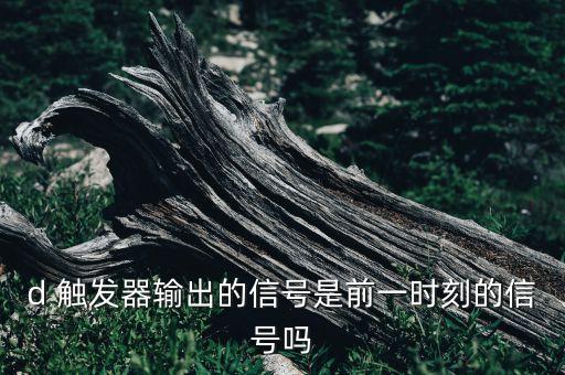 d 觸發(fā)器輸出的信號(hào)是前一時(shí)刻的信號(hào)嗎
