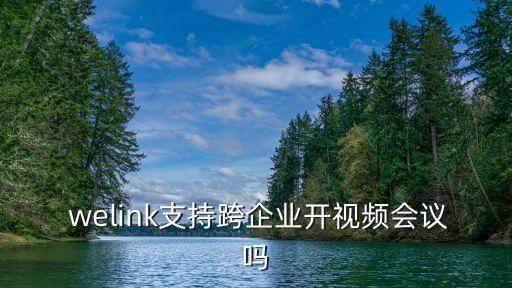  welink支持跨企業(yè)開視頻會(huì)議嗎