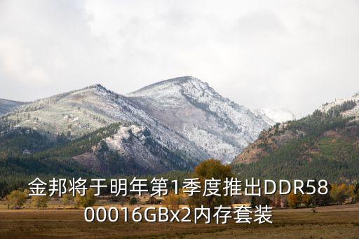 金邦將于明年第1季度推出DDR5800016GBx2內(nèi)存套裝