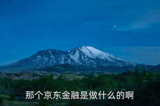 那個(gè)京東金融是做什么的啊