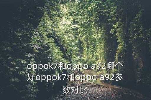 a92,搖手機(jī)不亮屏和a92哪個(gè)更好用?