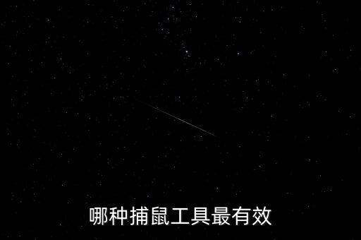 捕鼠器,如何安裝設(shè)置捕鼠器?