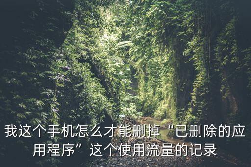 我這個手機怎么才能刪掉“已刪除的應用程序”這個使用流量的記錄